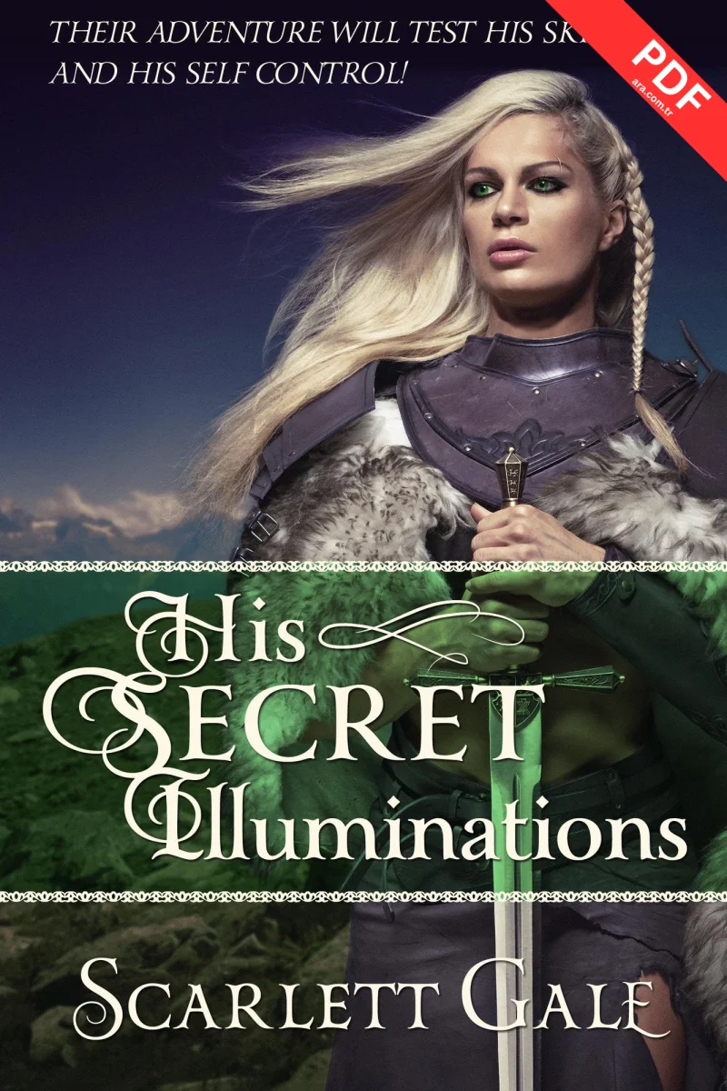 His Secret Illuminations Download PDF, Epub Free