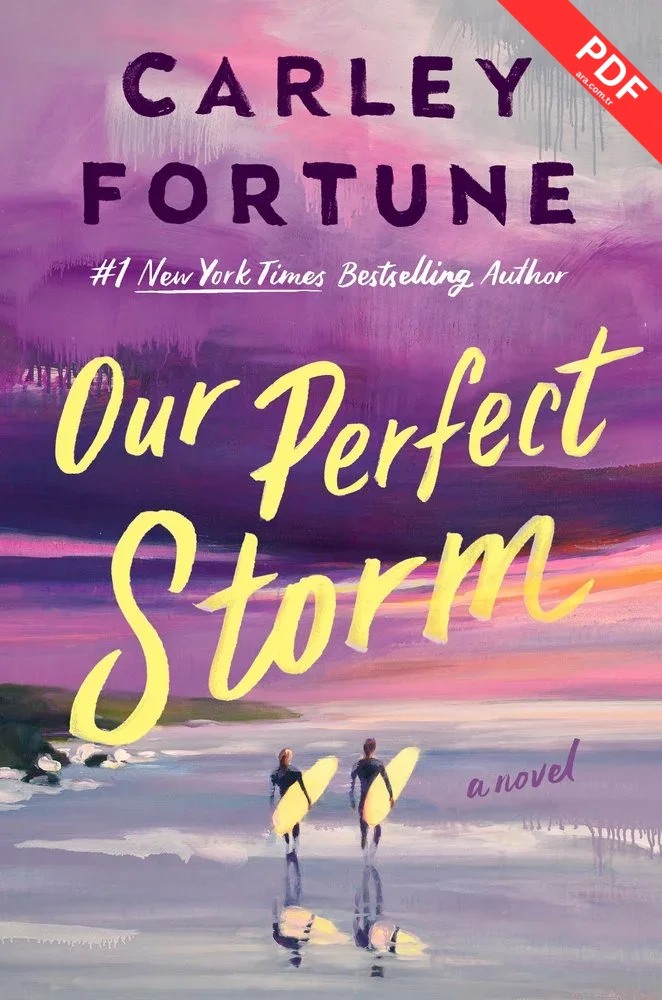 Our Perfect Storm Download PDF, Epub Free